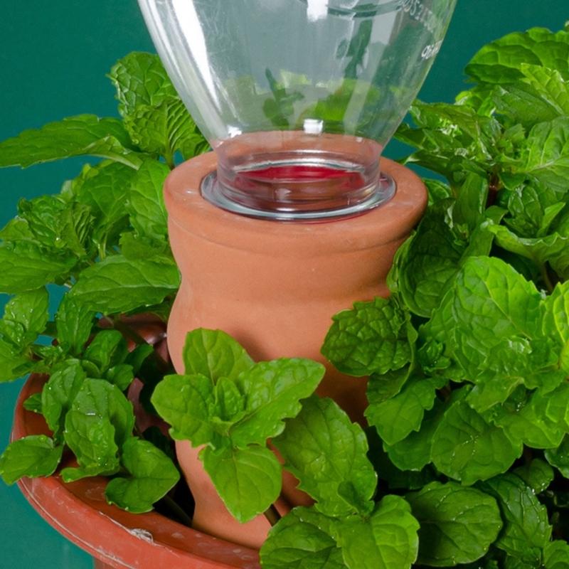 Miniature Ceramic Plant Watering Cones for Plant Self Irrigation Probes Office Greenerys Efficient Indoor Plant Care 6pc