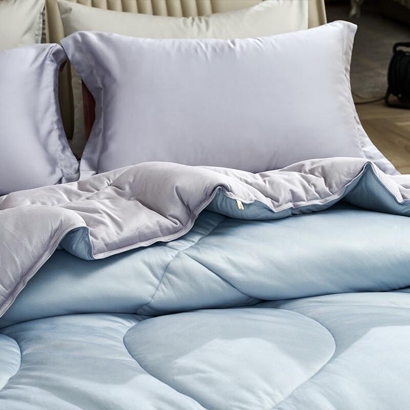 FUANNA All-Season Smart Warmth Quilt