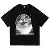 Y2k Lustiges Katzen-Meme T-Shirt Ich denke nicht, also bin ich nicht Männer Frauen Kleidung Harajuku Hochwertige Oberteile Baumwoll-T-Shirts