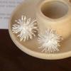 Silver-White Firework Earrings: Chic 2025 Design, 925 Silver Studs, Stylish and Versatile.