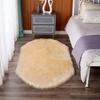 Multi-Color Oval Long Pile Wool Carpet - Floor Mat for Entryway, Sofa, or Bay Window