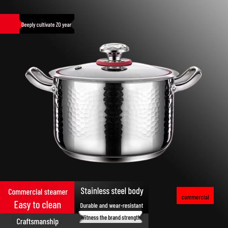 Sule 316L Stainless Steel Induction Soup & Steamer Pot
