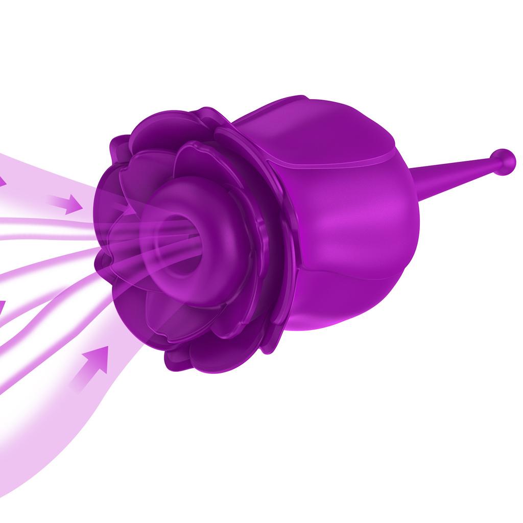 Nipple Clit Sucker Rose Sucking Vibrator Sex Toy for Women Vagina Stimulator Female Thrusting Love Vibrating Egg Toys for Adults