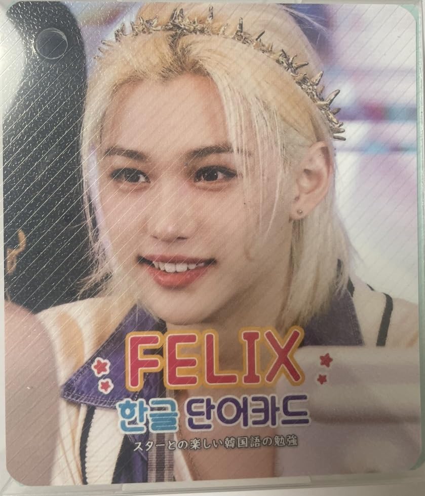 [NUOVO] Set di Fotocarte Stray Kids Felix, 63 Pezzi, Carte per l'Apprendimento del Vocabolario Coreano, Merchandising K-Pop di Felix, Studia Coreano c