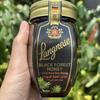 Langnese Premium Honey German Natural Wild 100% Black Honey 500g 1 pcs