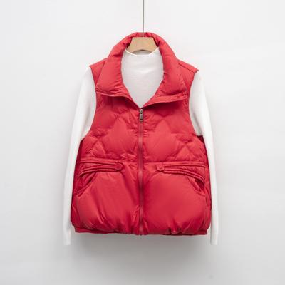 Down Vest Women's Autumn and Winter New Korean Version Short Stand-up Collar Small Vest Vest Jacket Trendy and Warm