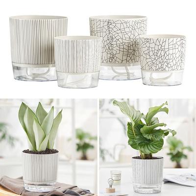 Green Plants Succulent Planter With Water Container Lazy Flower Pot Simple Planter  Garden Supplies