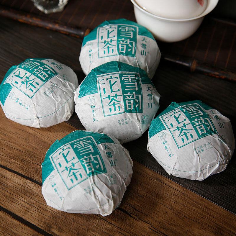 Lincang Big Snow Mountain * 2020 DR. PU'ER TEA Xueyun Tuocha Puer Raw Tea 500g