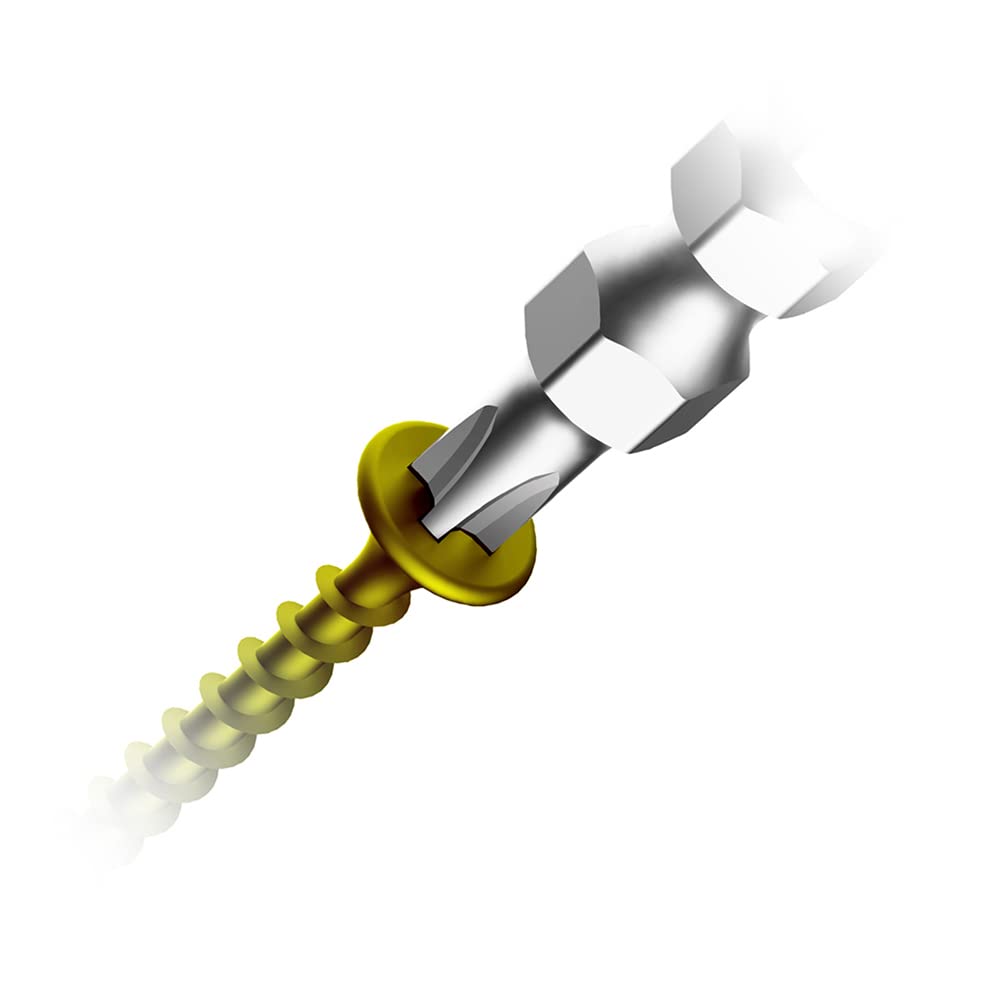 ANEX Slim Plated ARHS-14M Double-Ended Bits, +2x110, 10-Pack