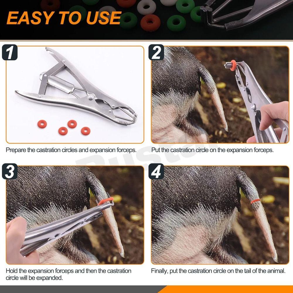 Edelstahl Schwanzentfernungszange Professionell Sterilisierbar Vieh Kastrations-Bander Ziegen-Bander Werkzeuge Schweinezucht