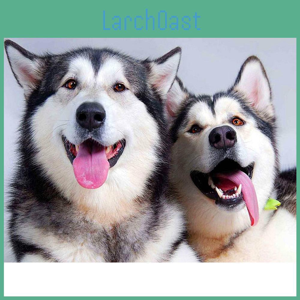 Diamond Arrival Full Round Painting Animals Diamond Embroidery Dogs Rhinestones Pictures