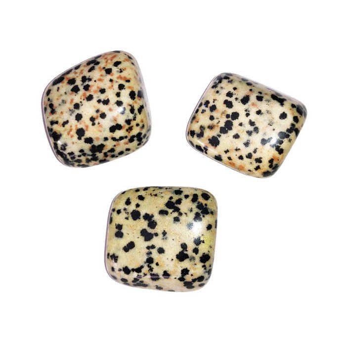 Pierre roulée Jaspe Dalmatien