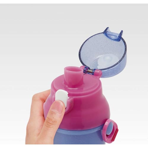 Skater Bouteille d'eau en plastique pour enfants, La Reine des Neiges 2 Disney, 480 ml, PSB5SAN