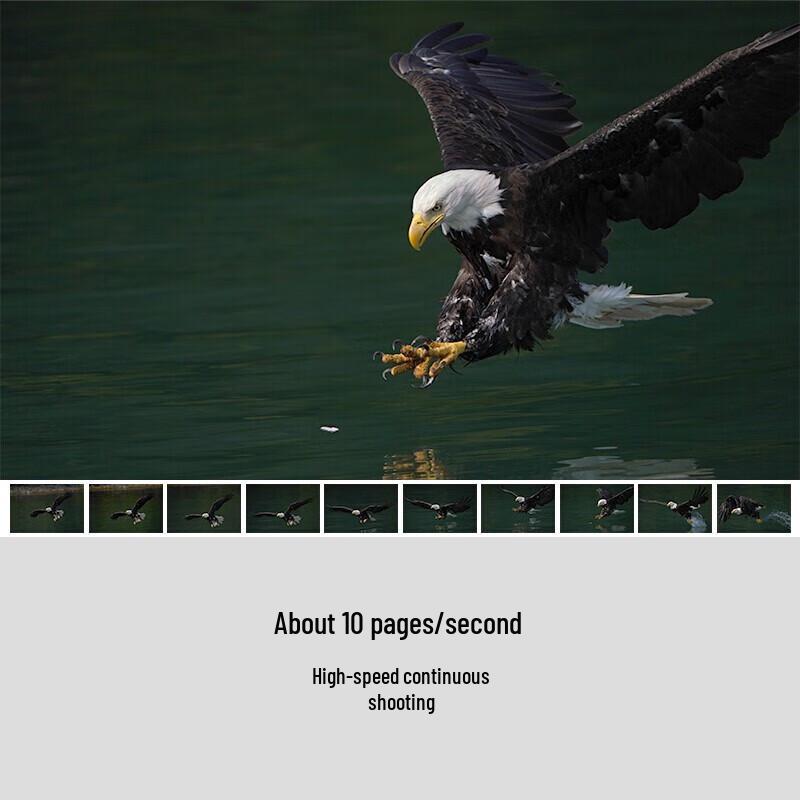 Sony Alpha 7R III Full-Frame Mirrorless Camera (CN Version)