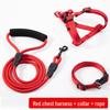 Adjustable Dog Leash and Collar Set for Small, Medium, and Large Dogs - Ideal for Walking Pets like Teddy and Golden Retriever