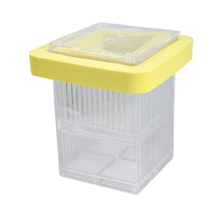 Acrylic Fish Breeding Box for Hatchery and Isolation for Aquariums Breeding Box Double Layer