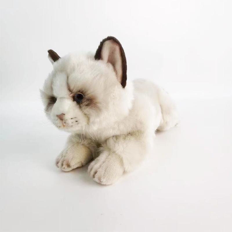 New Doll Cat Simulation Animal Doll Plush Doll Toy Gift for People Cute Doll