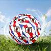 Japan Football Association Emblem Size 5 Soccer Ball,Indoor/Outdoor Suitable for Training Matches Tournaments Practice Games Perfect Gift for Fan