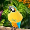 Nastavitelný obojek proti kousnutí pro papoušky Bird Lover ve stylu alžbětinské architektury