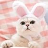 Cute Pet Dog Cat Cap Rabbit Hat Costume Warm Rabbit Hat New Year Party Christmas Cosplay Accessories Photo Props Headwear