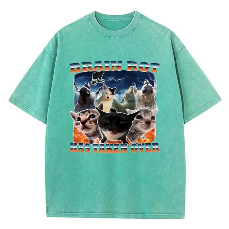 T Shirt Vintage Washed Cotton T-Shirt Graphic Brain Rot Has Taken Over Cat Graphic Tee Casual Streetwear Spring Summer Fall