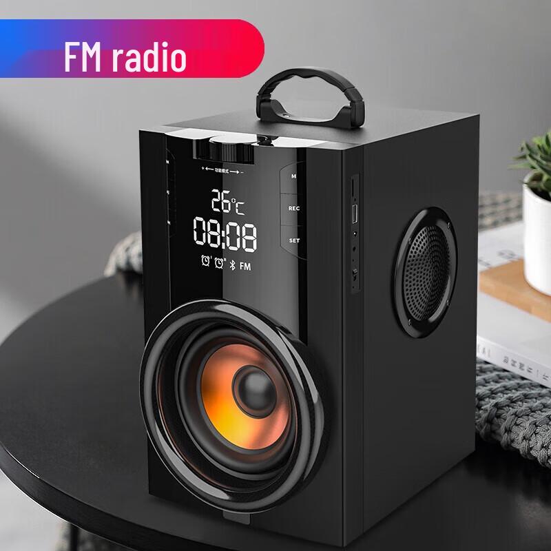 Soaiy SA-Q32 Portable Outdoor Karaoke Speaker with Dual Mics