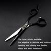 6.0-inch Black Painted Bearing Screw Hairdressing Barber & Thinning Scissors Set