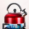 3L Stainless Steel Whistling Tea Kettle Water Boiler Heat-Resistant Flat Bottom Teapot Multi-Function Camping Pot for All Stoves