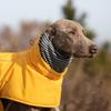 Dog Outdoor Cold Proof Clothing Warm Double Neck Cape Dog Jacket For Medium to Large Dog Autumn Winter Windproof Coat