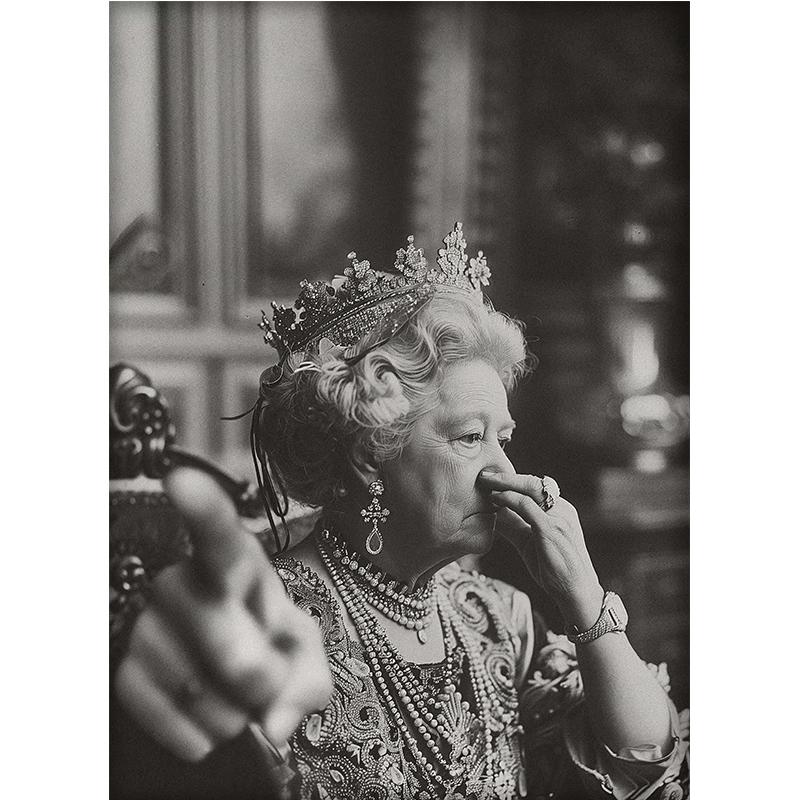 

Винтажный портрет королевы, художественные постеры с принтом для туалета, юмора, забавные настенные картины, ретро холст, Декор, живопись для забавного бара, ванной комнаты 21*30cm No Frame