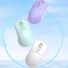 Silent Laptop Wireless Mouse Dual-Mode Ergonomic Mouse 2.4G Cordless Mouse  Tablet