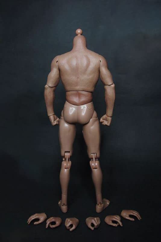 1/6 Kopfskulptur Modell Passend für 12-Zoll männliche Actionfigur
