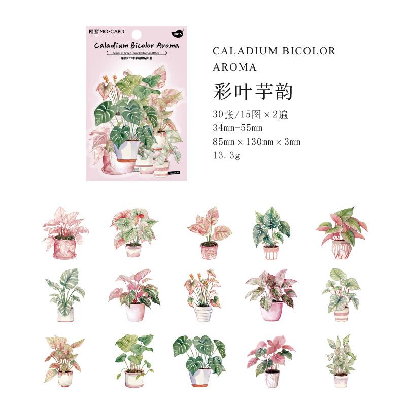 

30 pcs Watercolor Green plant stickers Stick Labels Decorative Adhesive DIY Scrapbooking Junk Journal Supplies