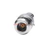 Eastsheep N/BNC RF Adapter