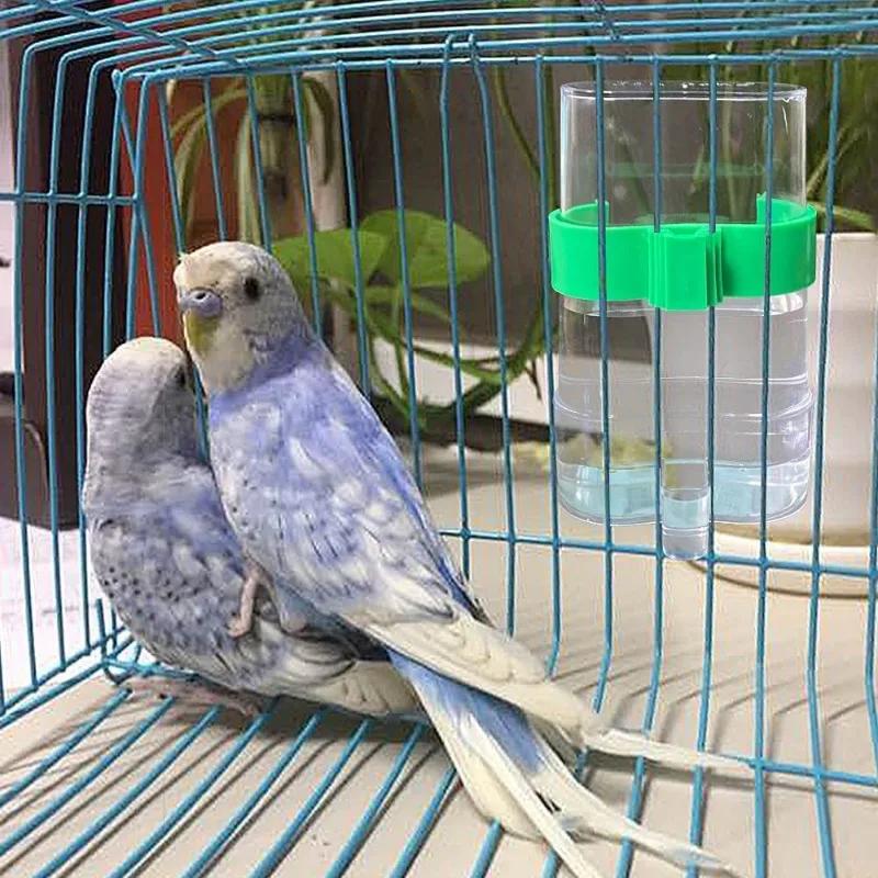 Parrot Food Feeder Bird waterer Automatic Water Feeder Parrot Feeder food box trough chicken feeder hummingbird feeder