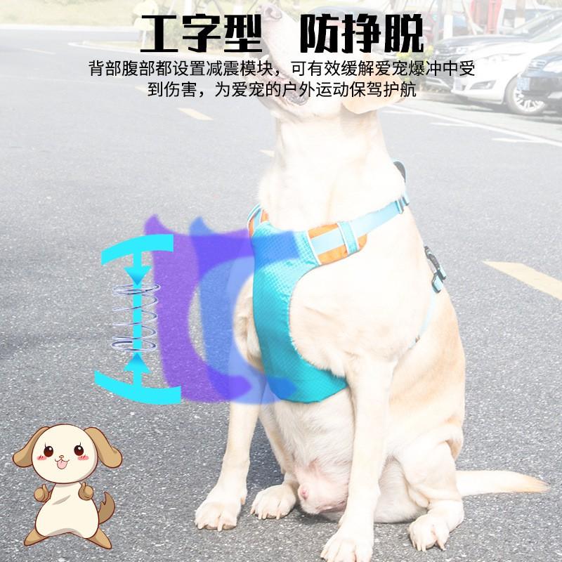 Lightweight Waterproof Dog Harness With Dual-Strap Design Reflective Safety Strip Adjustable Fit Medium To Large Breeds