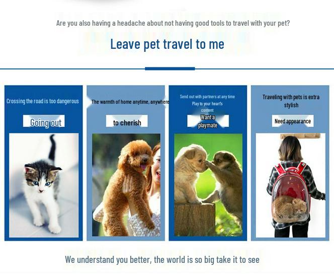 Portable Transparent Cat Backpack: Breathable, Spacious Double-Shoulder Pet Carrier