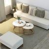 Modern Round Sintered Stone Coffee Table, 2026 Light Luxury Model for Small Apartments and Living Rooms.