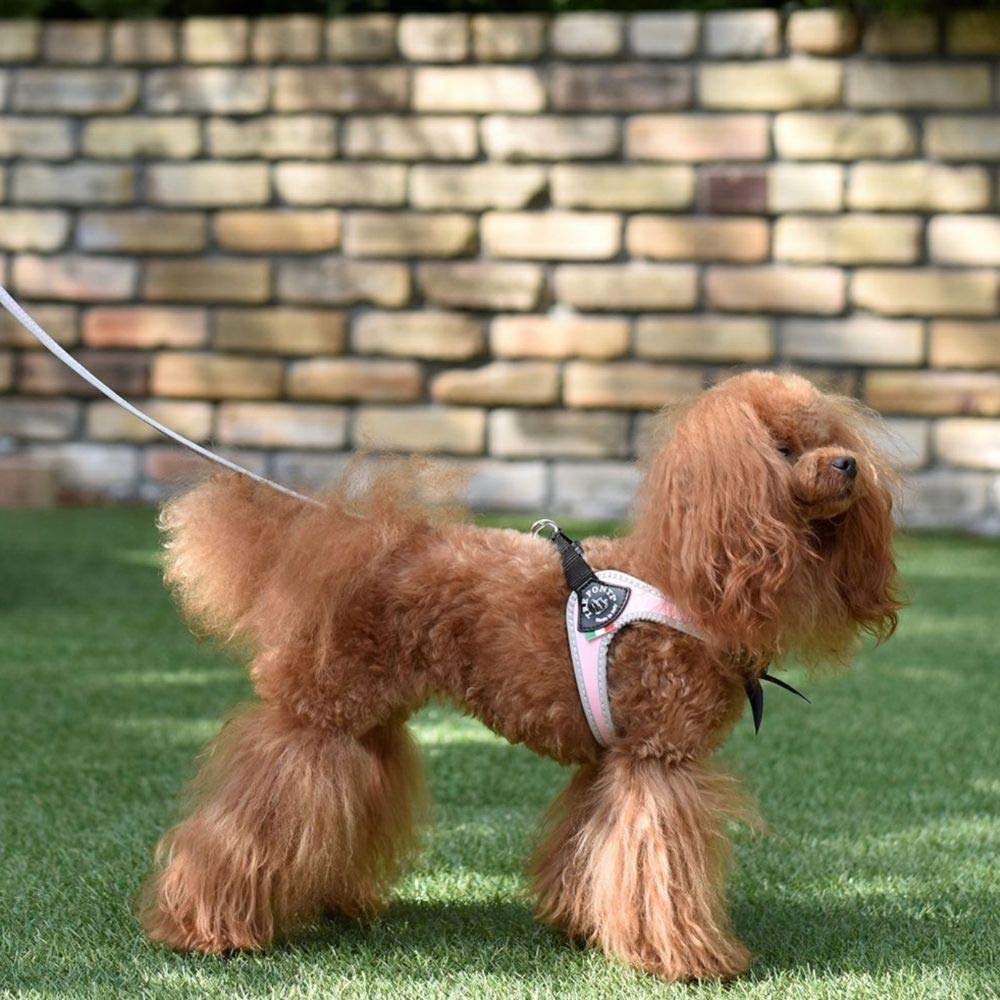 TRE PONTI Fibbia REFLECTIVE Harness small sky (LTP110) (for dogs) (size 3.5, blue)