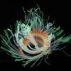 New Flexible Style Silicone Aquarium Coral Anemone Decoration Artificial Fish Tank Sea Anemone Ornament Glowing In Light