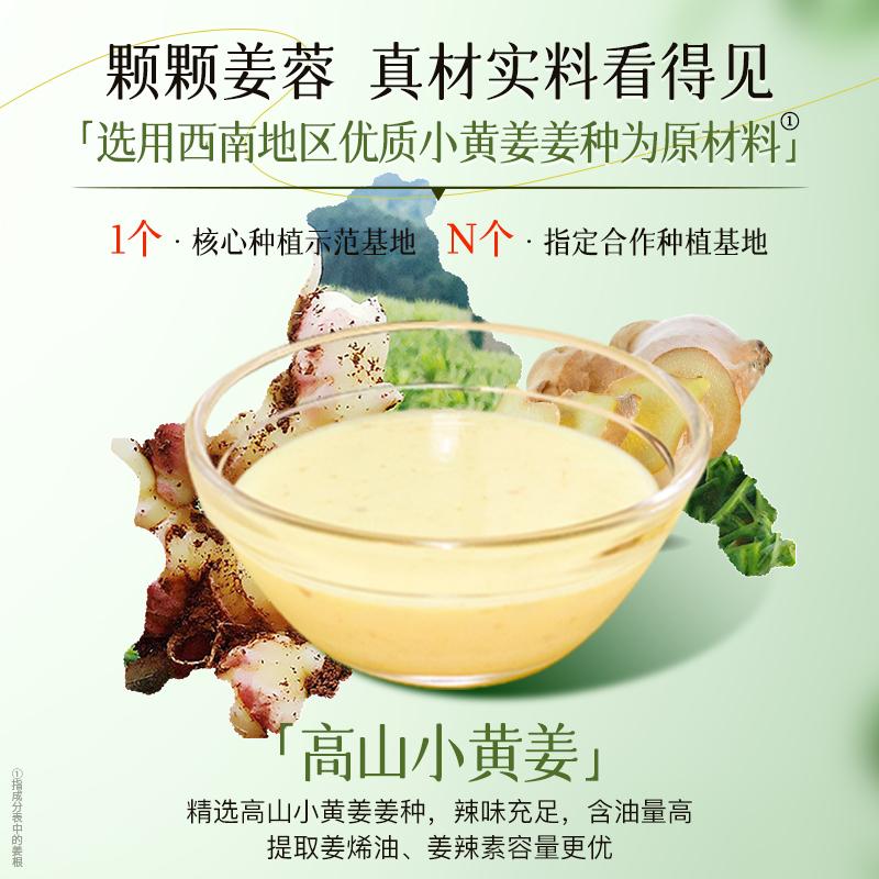 Zhuolanya Ginger Portable Experience Pack 10ml * 10 (shampoo/care)