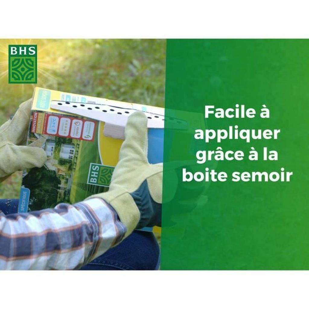 Seeds BHS 1 kg