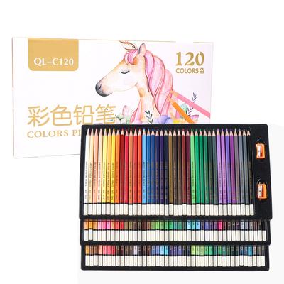 120 Matite Colorate Diverse Matita da Disegno per Artista Pittore per Schizzo Materiali Artistici Scolastici