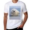Chonky Seal Pup Hug TShirt Stylish Graphic Short Sleeve Top