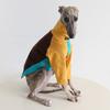 XS-2XL Frühling Weiche Baumwolle Hund Rollkragenpullover für Whippet & Greyhound 2-beinige Haustierkleidung Hemden Bodysuit