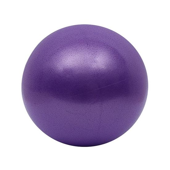 9,8 Zoll Hüteball für Hunde Haustier Aufblasbarer Ball Spielzeug Interaktives Spiel Bewegungsball Fördert die Körperliche Gesundheit für Kleine Mittlere Haustiere