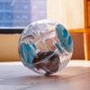 Plastic Outdoor Sport Ball Grounder Rat Small Pet Mice Jogging Ball Toy Hamster Gerbil Exercise Ball Play Toy Small Pet Supplies