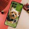Yorkshire Terrier Dog Puppy For Samsung Galaxy M34 M11 M35 M21 M16 M06 M33 M13 M53 M31 M55 M15 M14 M54 M12 M32 M52 Case