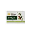 Ostoact Tablets 100 Count Herbal Bone Strength Support Supplement For Adult Bone Health
