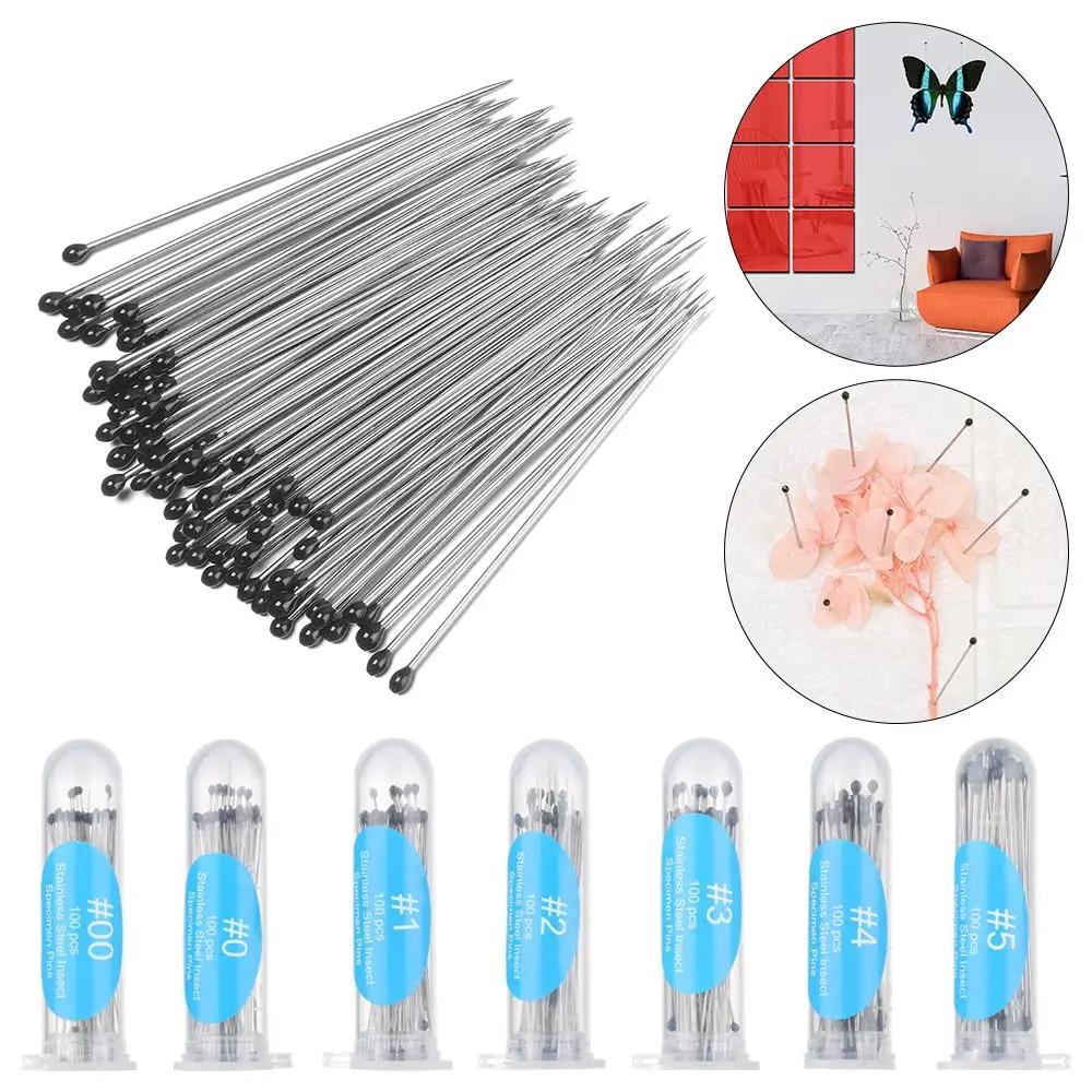 100Pcs High Hardness Entomology Lab Accessories Specimen Pins Insect Dissections Supplies Pin Needle